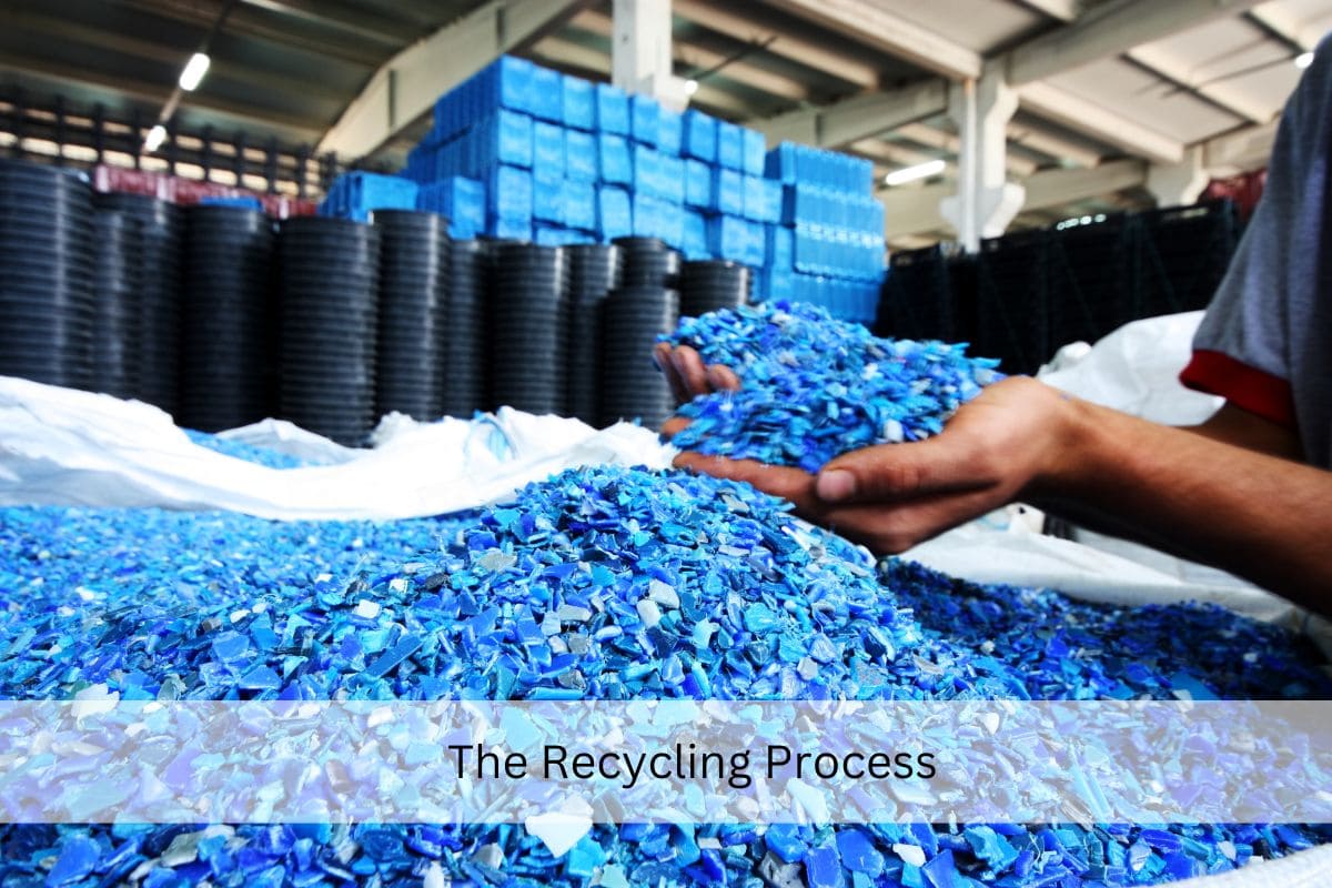 plastic recycling facility