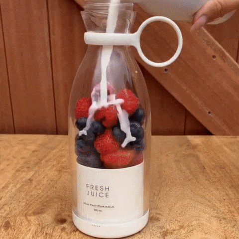 Juice Portable Blender – PerfidRoom