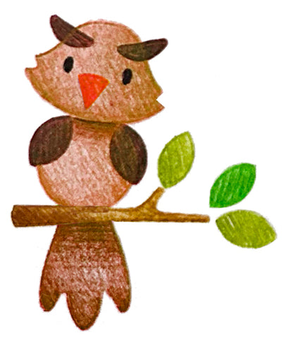 apprendre a dessiner hibou foret