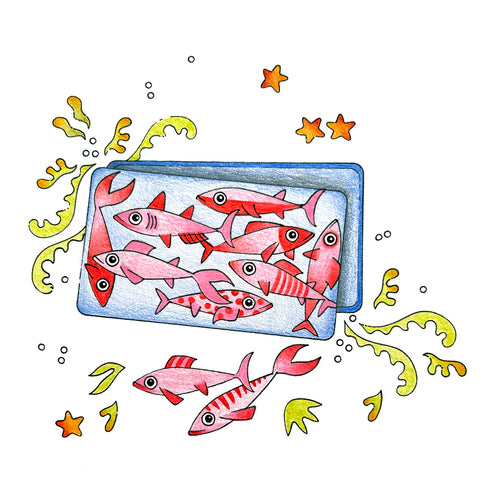 dessin boite de sardines