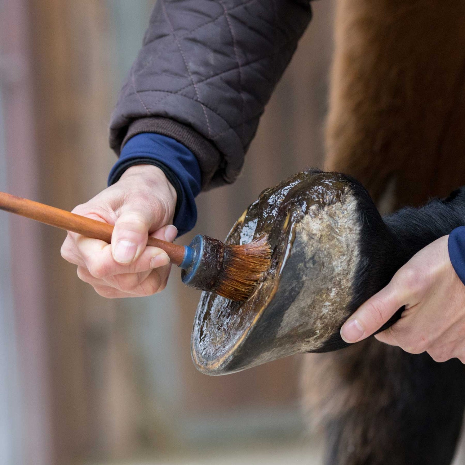 Hoof Care