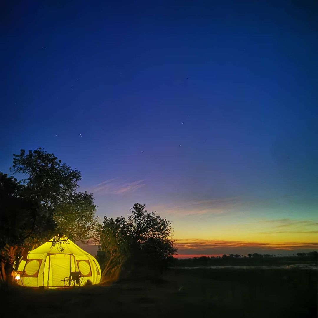 Savvy Camping 101