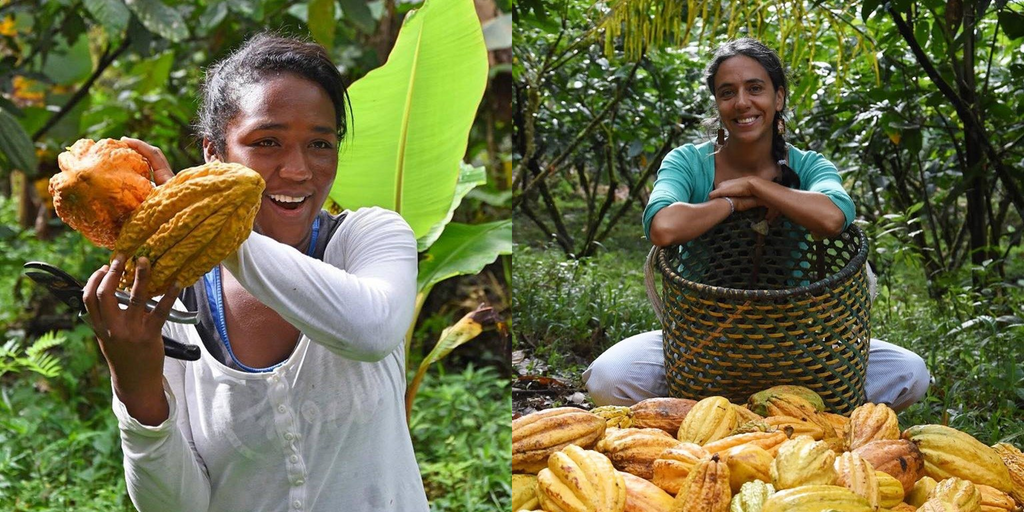 Mashpi Chocolate, Ecuador - Empowering women on the farm and beyond