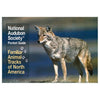Picture of NATIONAL AUDUBON SOCIETY POCKET GUIDES