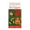 Picture of NEW ENGLAND: FLORA & FAUNA