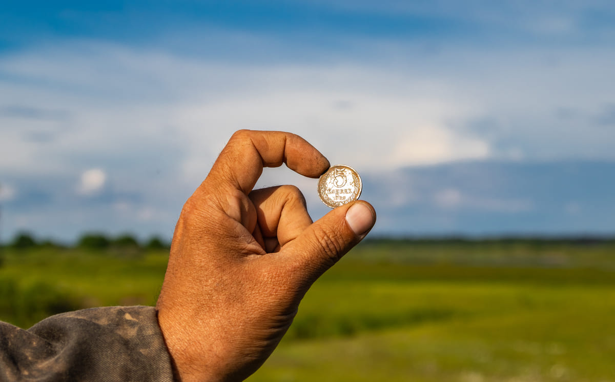 How To Clean Found Coins - Regton Metal Detectors