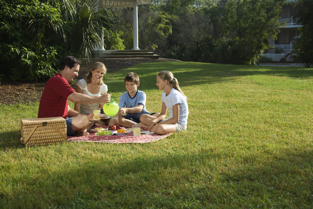  family having picnic outdoors