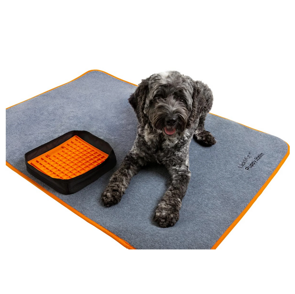Service Dog Place Training Mat Settle Mat Quilted Training Place