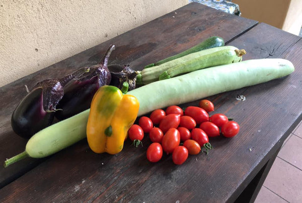 Sizilianische lange Zucchini, wie man sie zubereitet