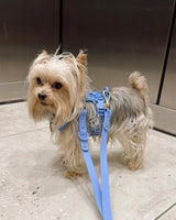 Blue Cobalt Vest Dog Harness | Urbana Pet Boutique