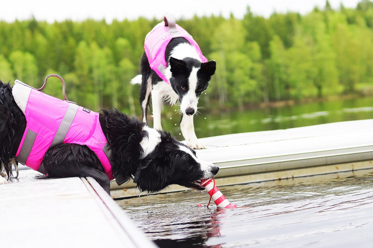 Rogz Lighthouse Vattenleksak för hund - köp online på dogmania.se