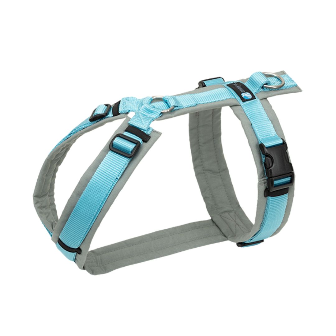 Anny-X Fun Hundsele - Grey/Iceblue XXS