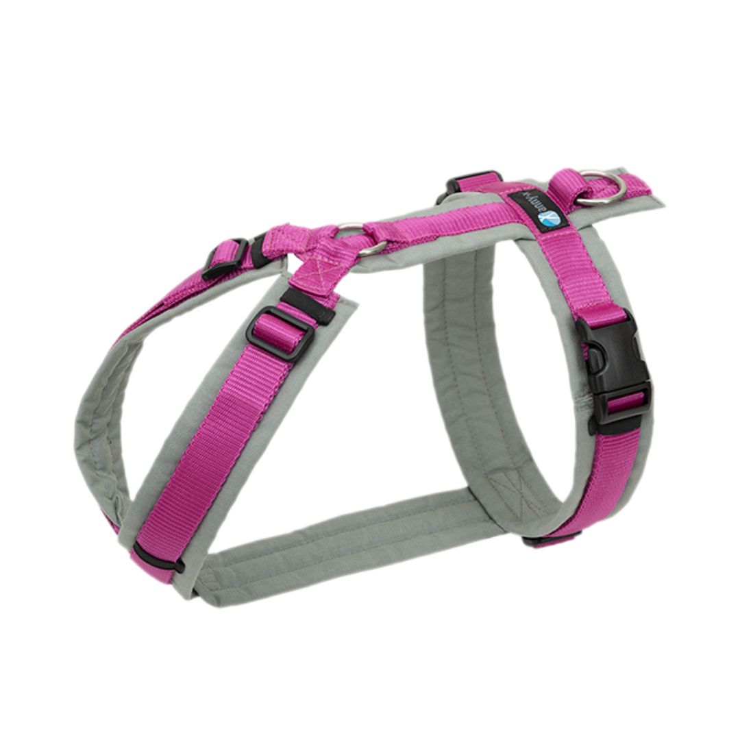 Anny-X Fun Hundsele - Grey/Pink M