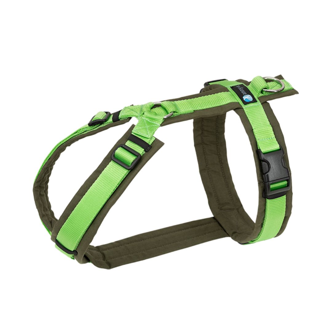 Anny-X Fun Hundsele - Olive/Light Green L