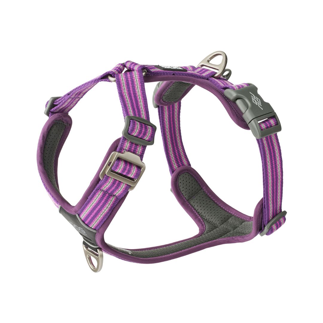 Dog Copenhagen Comfort Walk Air Harness 3.0 - Purple Passion M