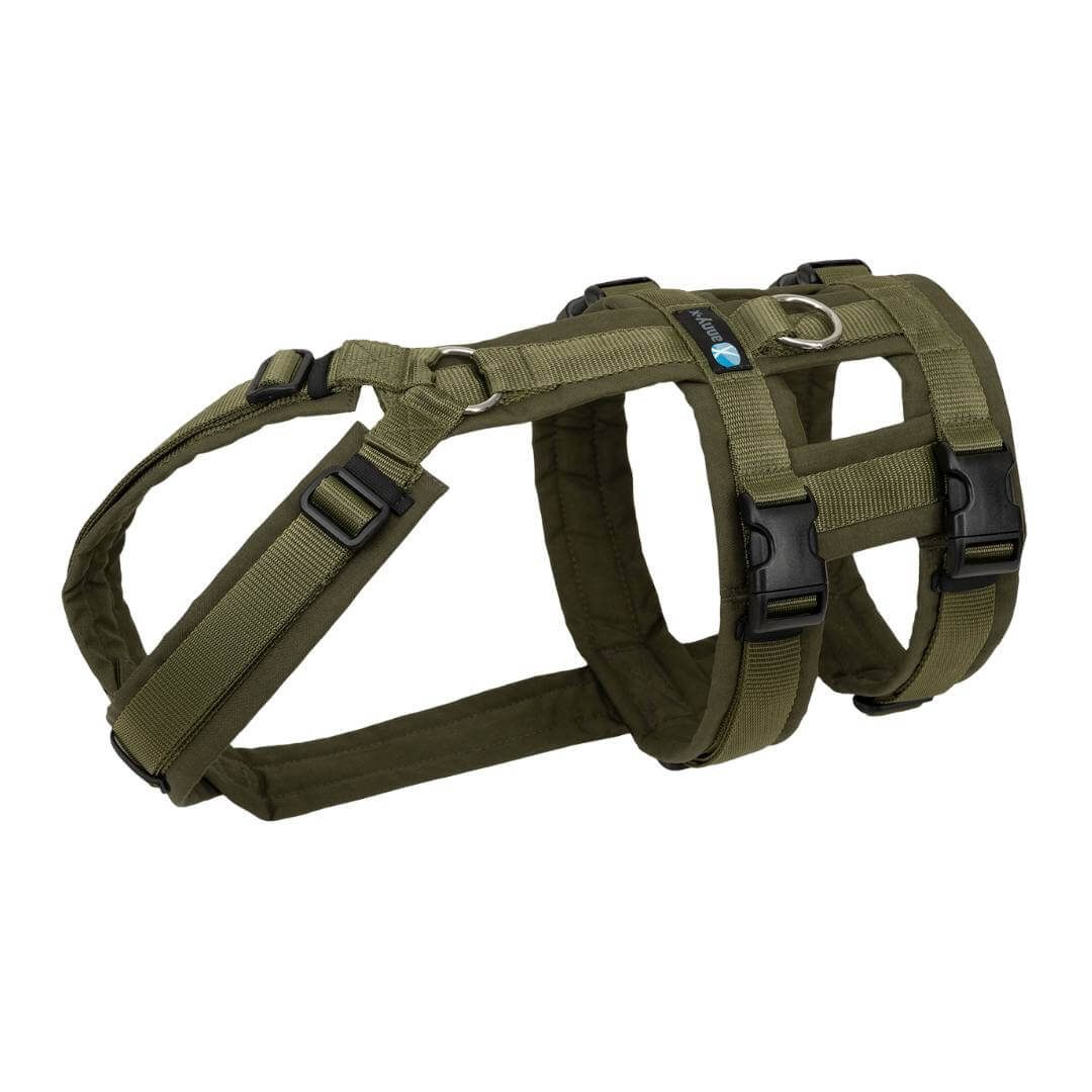 Anny-X Safety Hundsele - Olive/Olive M