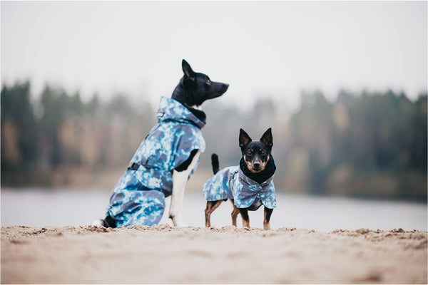 Two dogs on the beach each in a blue rain jacket from Paikka in the color Petrol Dye at dogmania.se