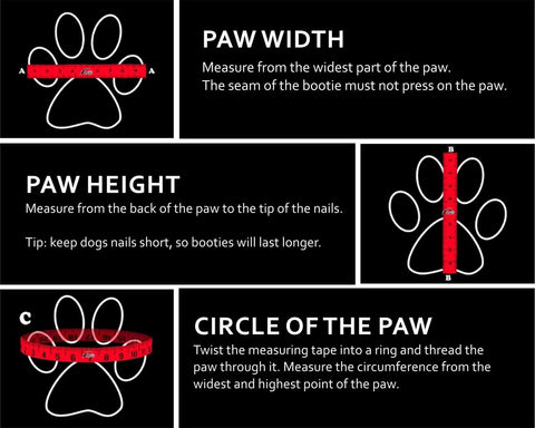 Picture showing how to measure the paw to find the right size of Finnero Halla Booties