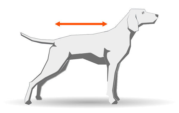 Measuring instructions for back length for dog blankets from Non-stop Dogwear