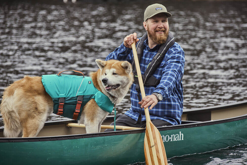 Which dog life jacket should I choose? Dog with a life jacket that meets the safety requirements