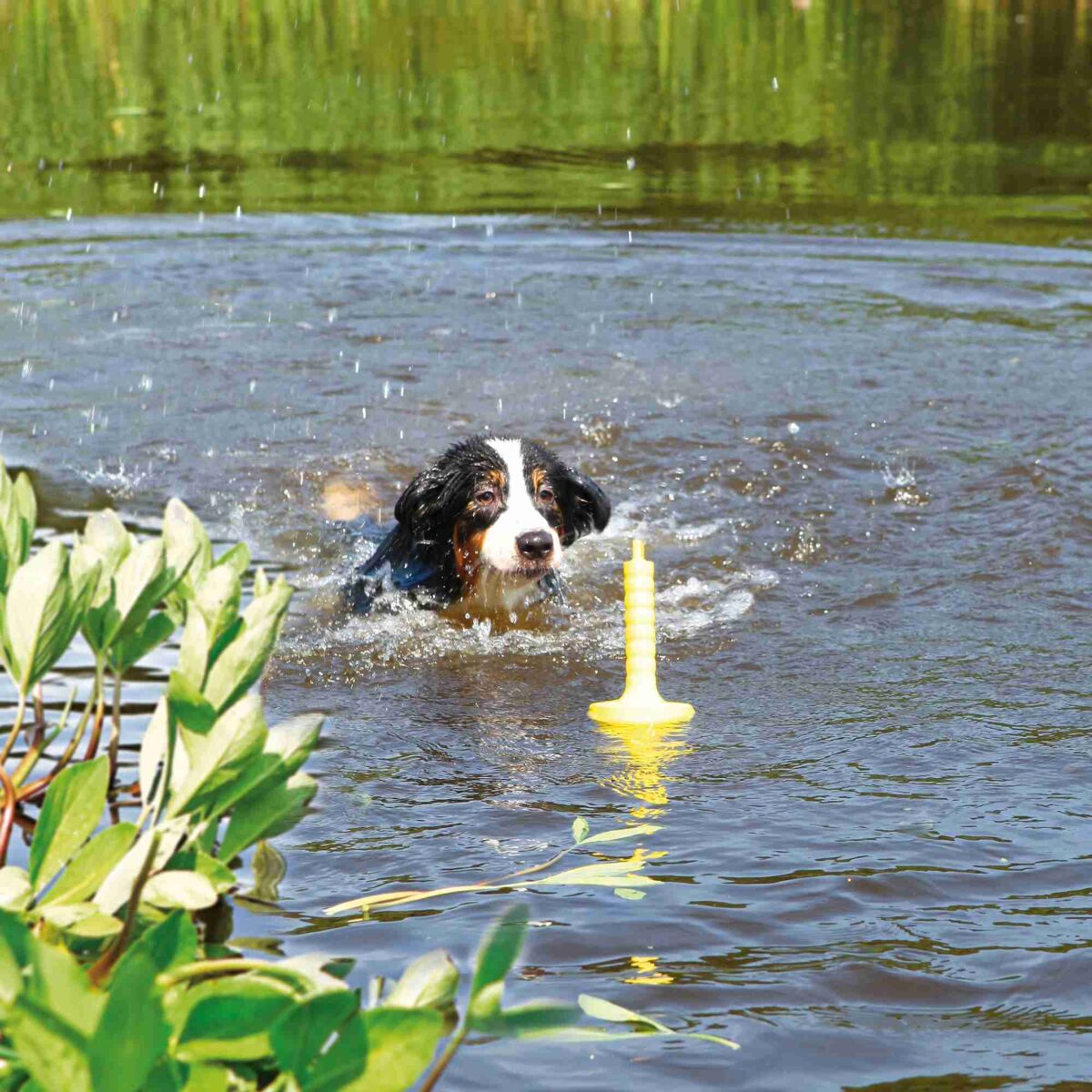 Trixie Against Aqua yellow floating dog toy