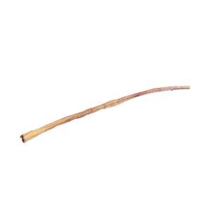 Home Range Bully Stick - 32-36" - The Modern Dog Company Store