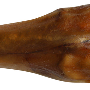 QT Dog Water Buffalo Trotter - The Modern Dog Company Store