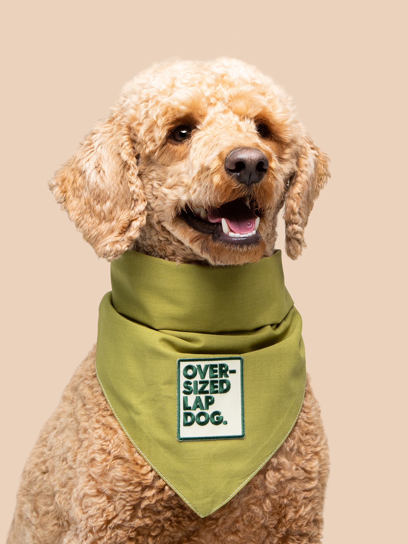 Scout's Honour - Oversized Lap Dog iron-on patch for dogs