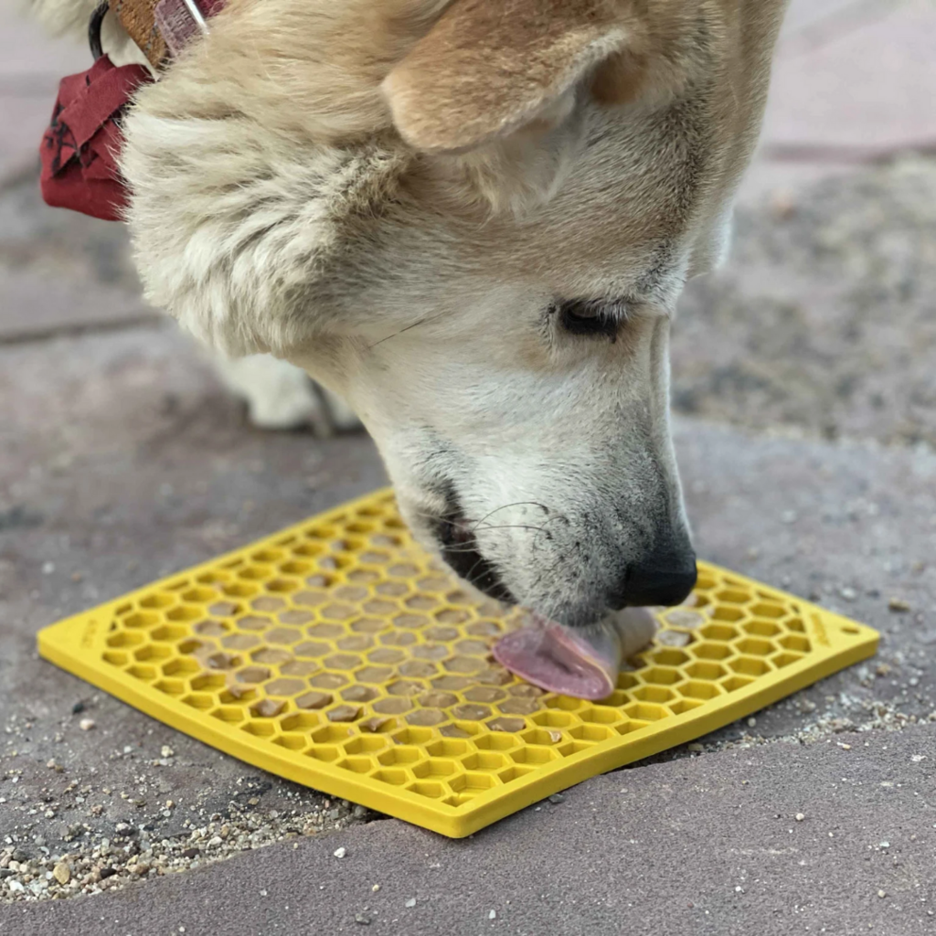 Fred Howligans Silicone Dog Lick Mat - World Market