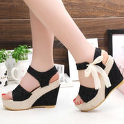 Lace Leisure Wedges Heeled Shoes