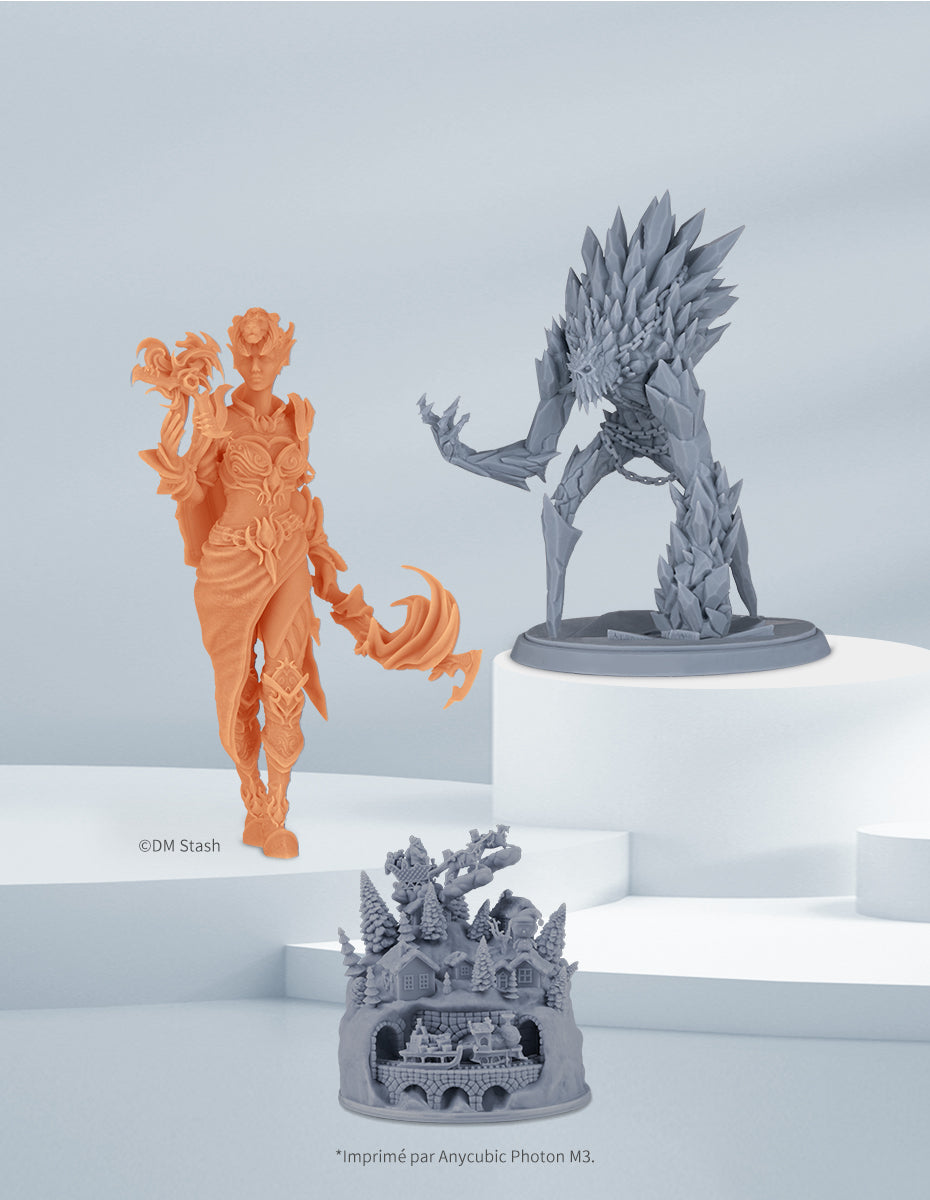 Anycubic Photon M3 - Exemples d'impression