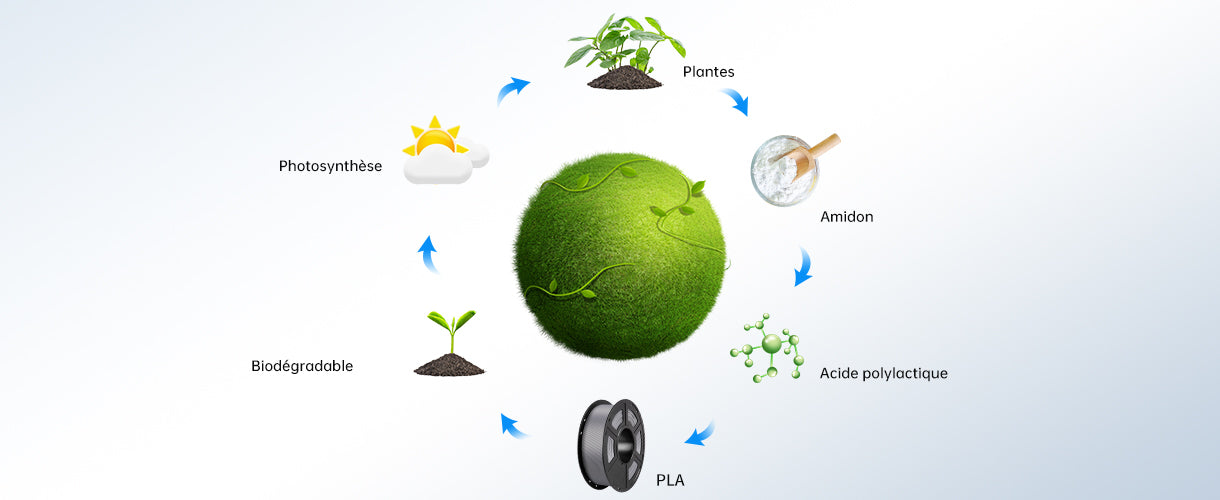 Filament PLA Anycubic - Écologique