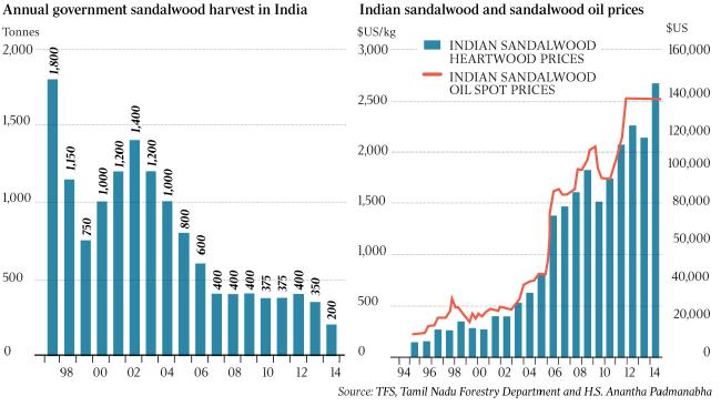 sandalwood supply vs demand