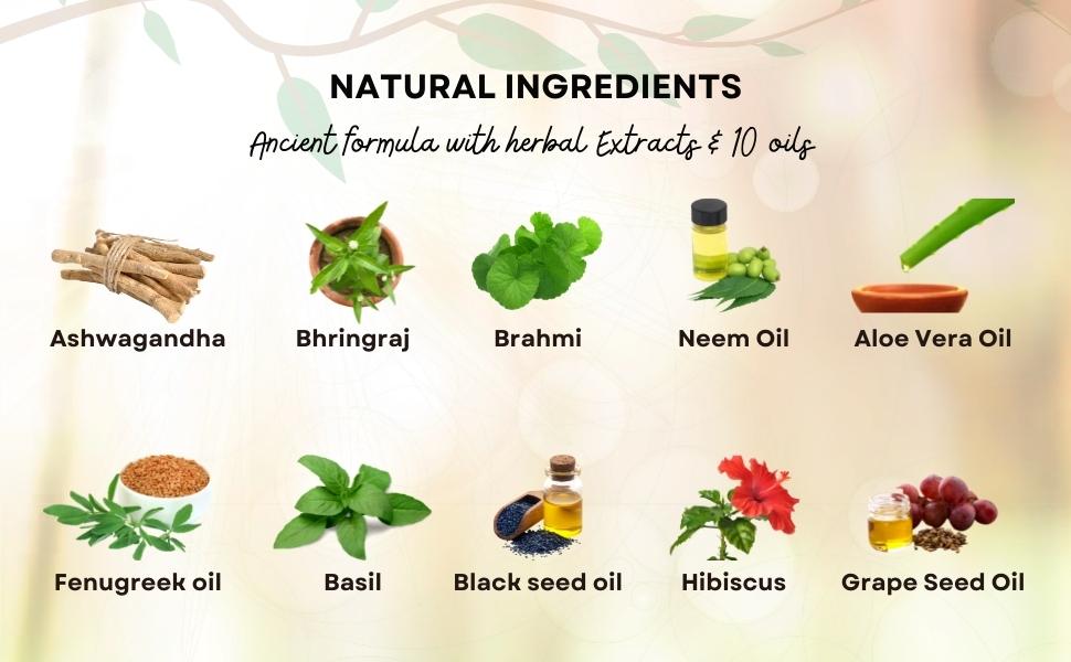 herbalism-international