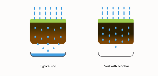 Water retention of typical soil vs. soil with biochar.