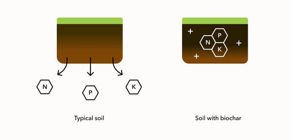 Nutrient retention of typical soil vs. soil with biochar