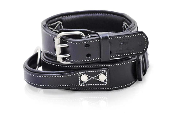 Rogue Royalty - Strong Dog Collars, Dog Harnesses, Dog Leads & Access