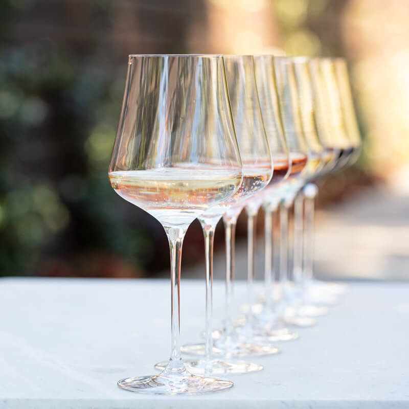 The 8 Best Wine Glasses of 2023, Tested and Reviewed