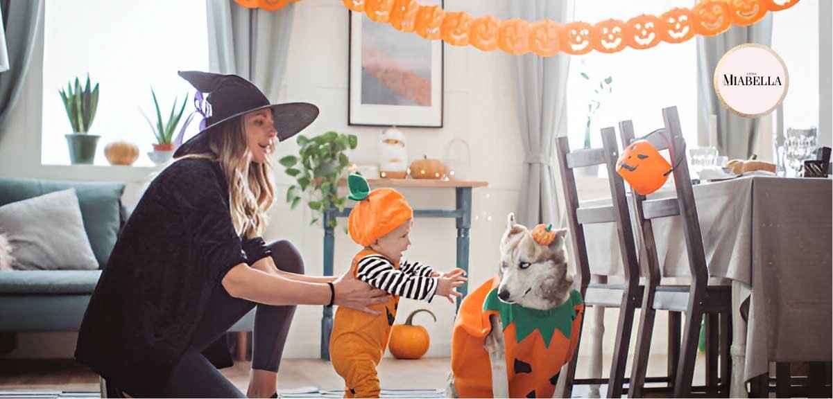 Pet Inclusive Halloween Photoshoot