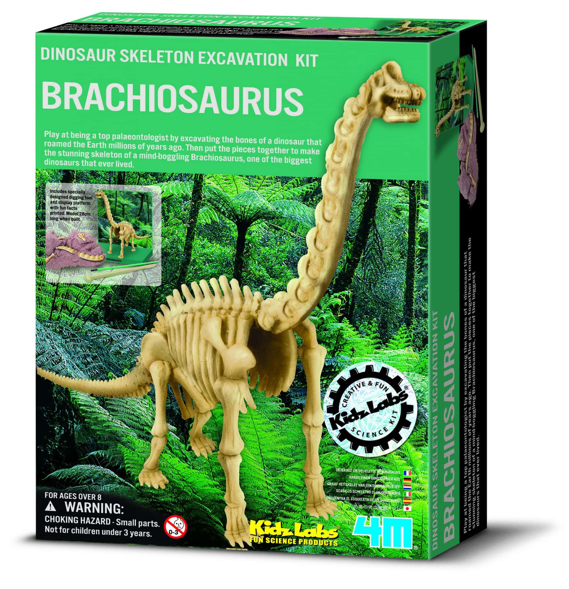 4M - Dinosaur udgravningssæt, Brachiosaurus skelet