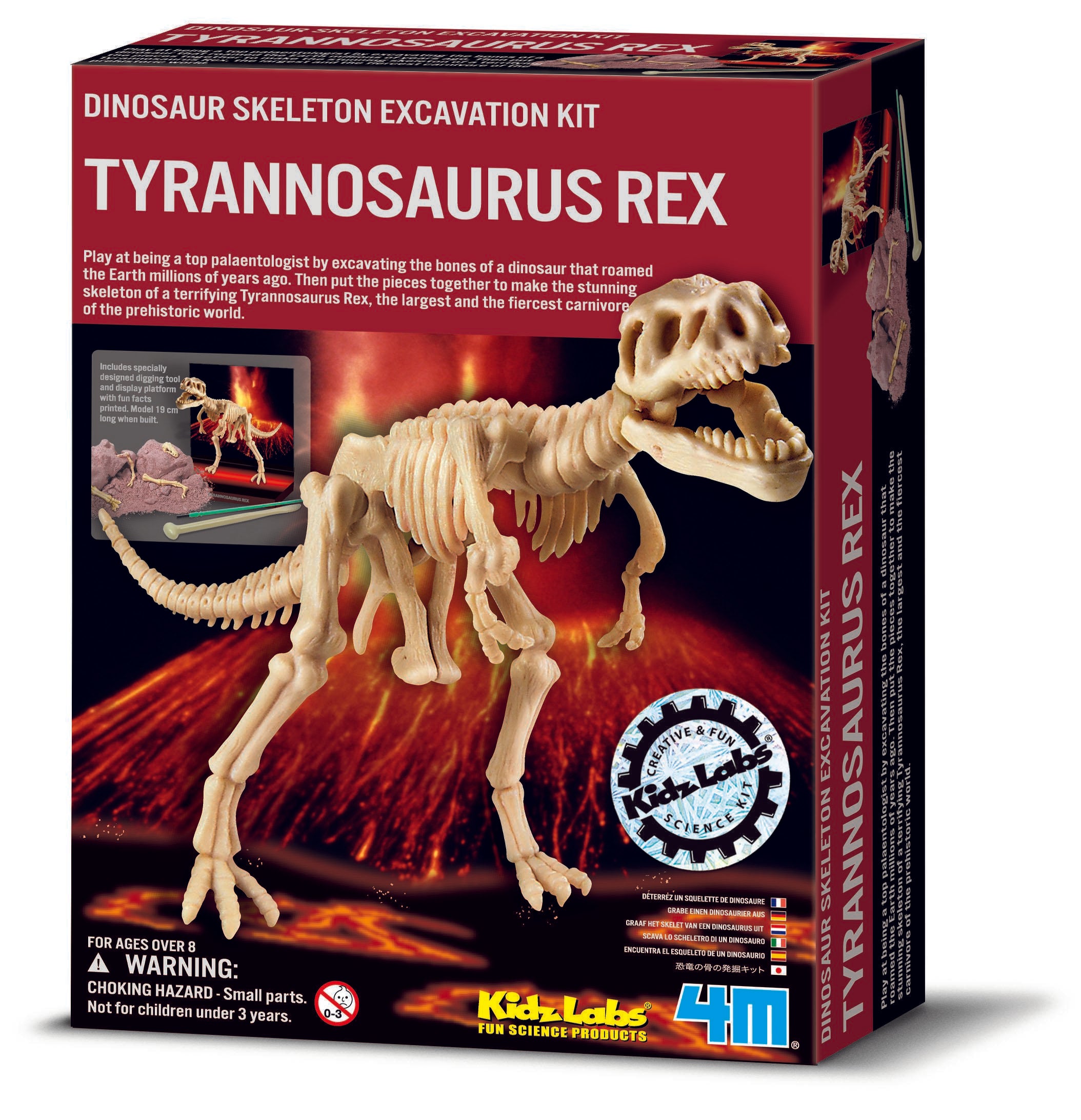 4M - Dinosaur udgravningssæt, Tyrannosaurus Rex skelet