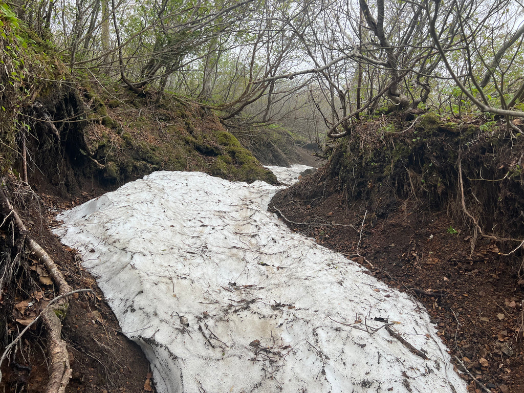 岩手山 裏岩手縦走路　焼走り溶岩流