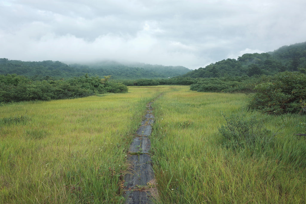 念仏ヶ原　月山　肘折　肘折温泉　肘折ルート　湿原　日本百名山