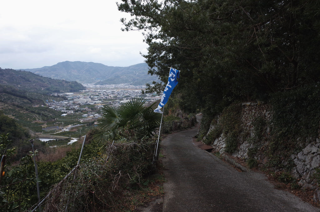 熊野古道　紀伊路