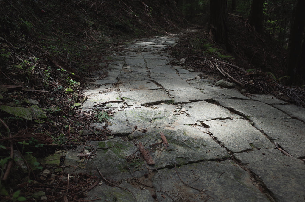 高野山　町石道　世界遺産　熊野古道　ロングトレイル　石畳