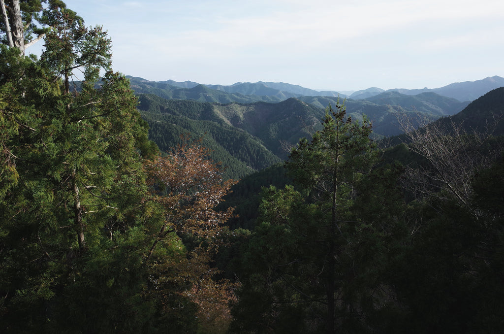 高野山町石道　熊野古道　世界遺産　ロングトレイル　巡礼