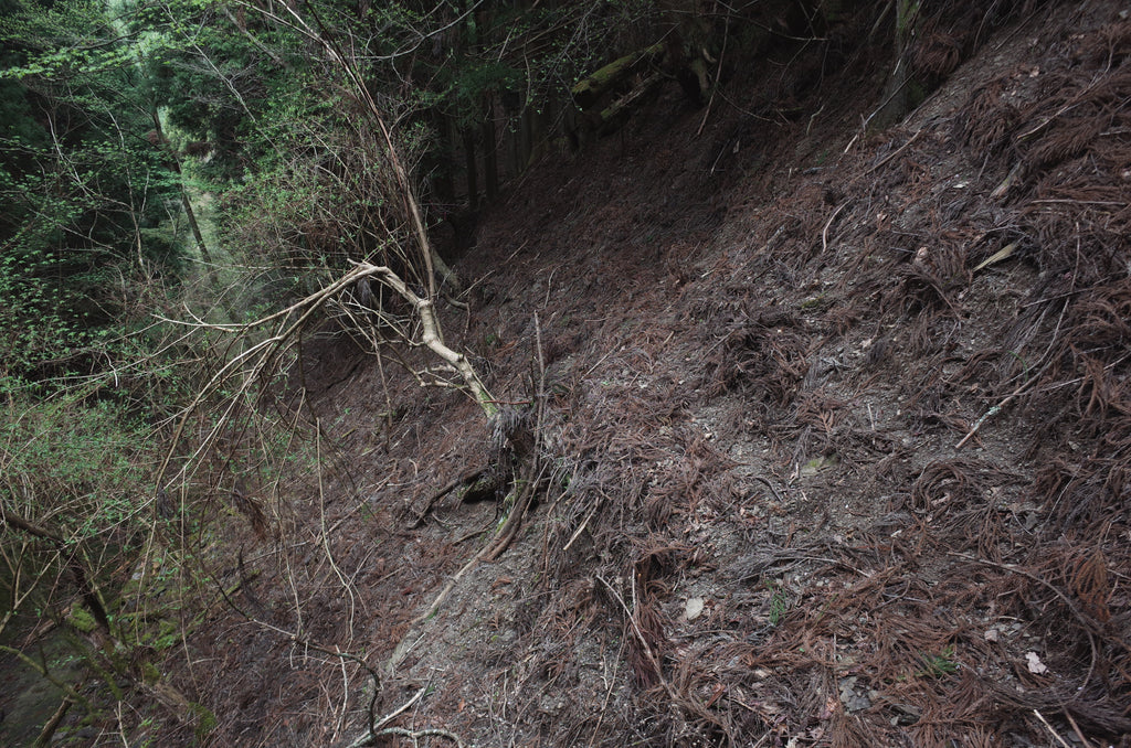 奥辺路　登山道　トラバース　踏み跡　不明瞭