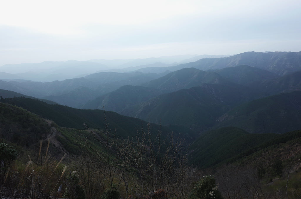 果無山脈　紀伊半島　伯母子岳　八経ヶ岳　大峰山脈　縦走