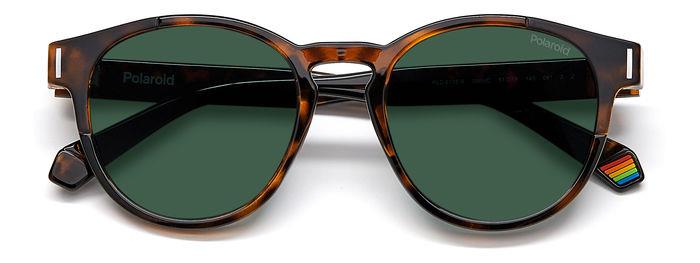 Polaroid Polarised Sunglasses - Selectspecs.com 