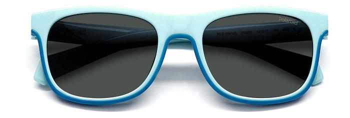 PLD 8041/S - sunglasses